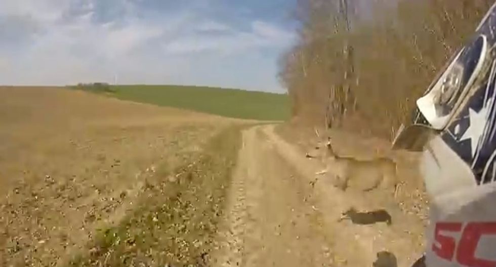 See that Deer? Well, Let's Just Say This Ends Better Than Expected