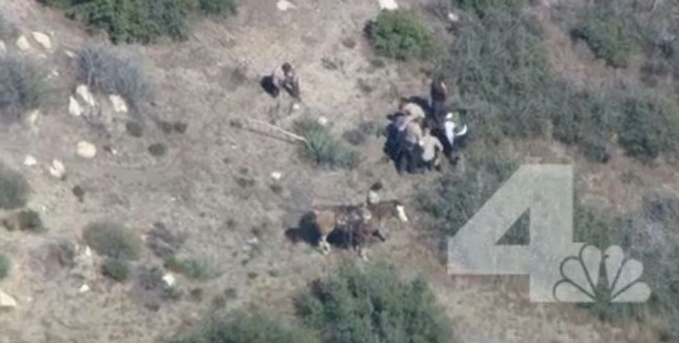 Investigation Ordered After Calif. Sheriff Says He Is 'Disturbed' by What He Saw in Chase Video