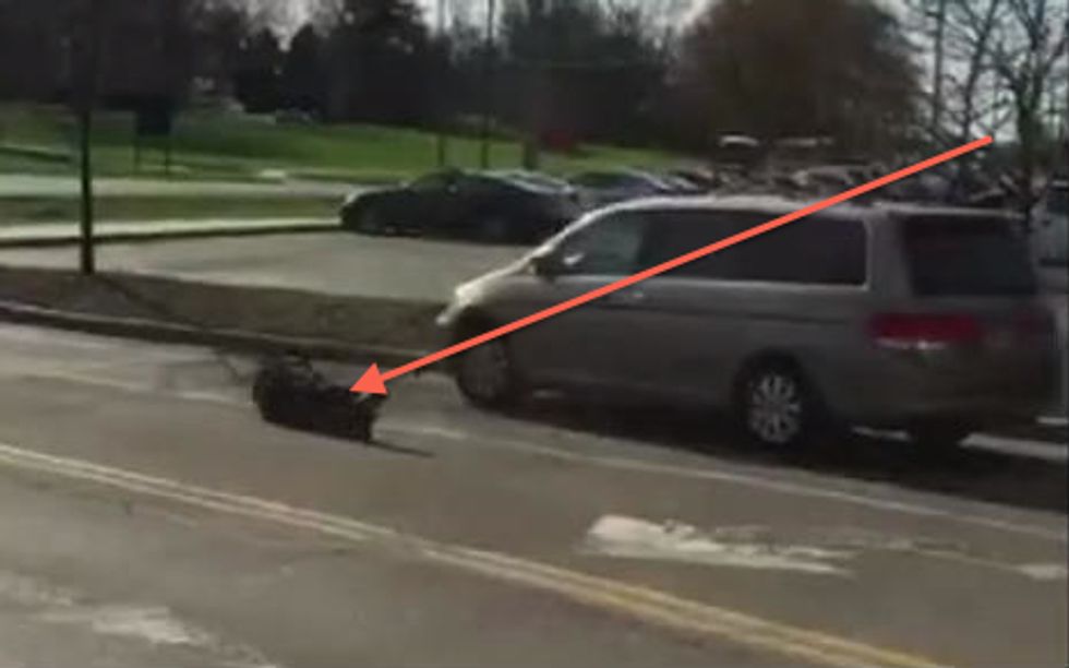 College Professor Berates Driver for Cutting Him Off, Gets Dragged to Ground as Minivan Bolts Away