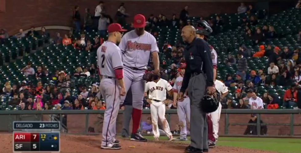Well, That's Got to Be a First': MLB Game Briefly Delayed for Extremely Bizarre Reason