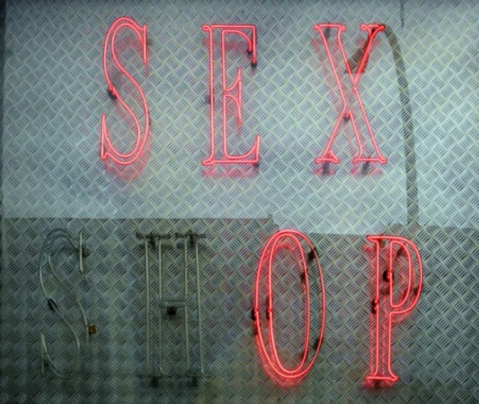 Sex Ed, Sex Shops and Small Fry: The Progressive Solution to Properly Developing Our Children