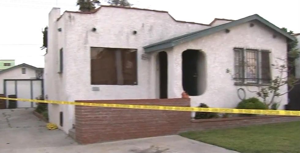 Young Children Playing in Backyard Discover Infant's Dismembered Leg