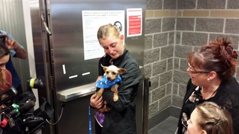 Her Dog Went Missing Three Years Ago. Today They Were Reunited – After an 1,800-Mile Journey