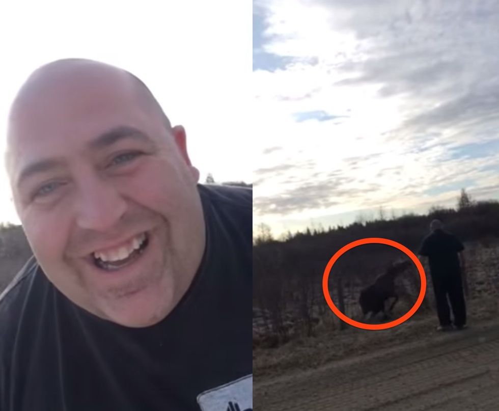 There's a Baby Moose Stuck in His Fence. Watch the Insane Thing It Does When He Tries to Help.