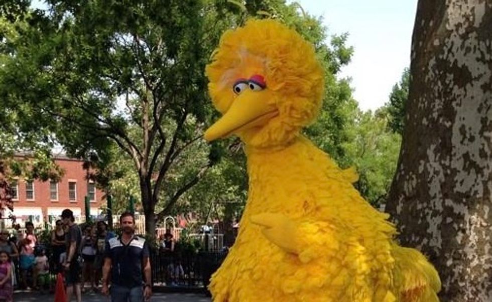Big Bird Makes the Internet Cry