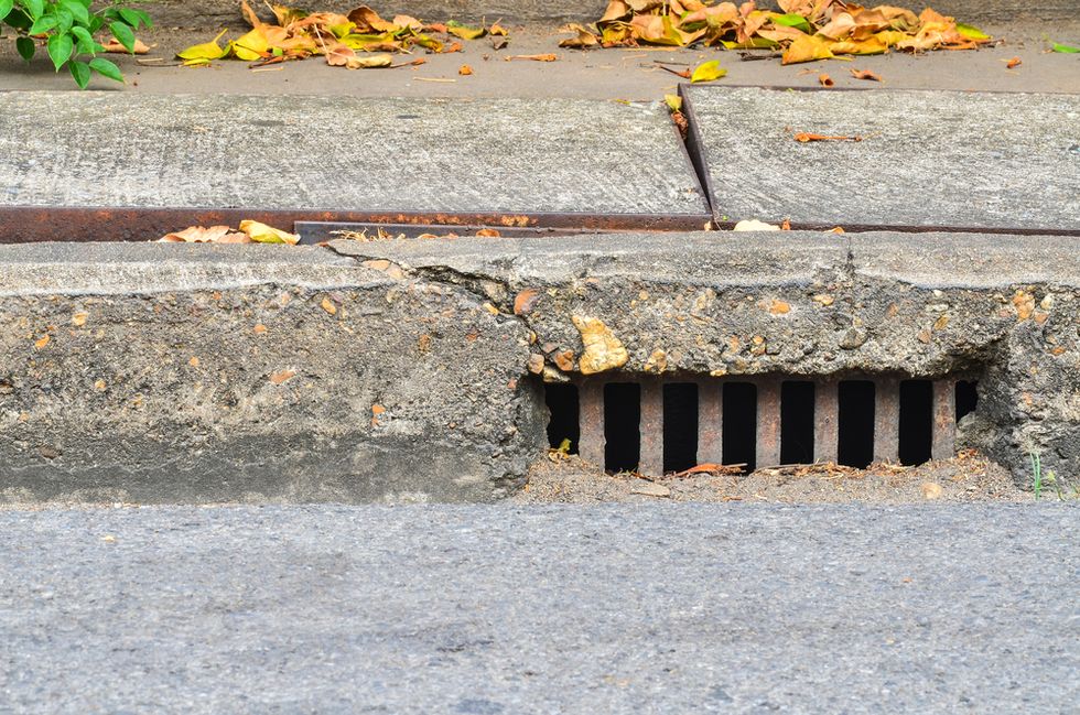 Seattle Man Makes Surprising Discovery in His Gutter After Riots
