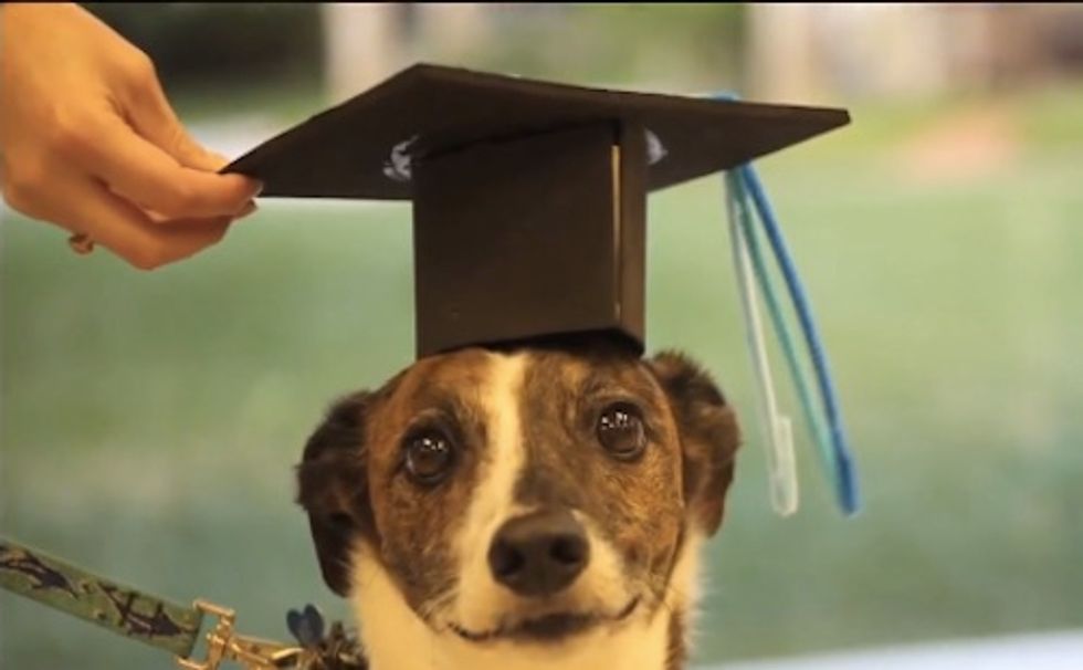 Florida College Holds Graduation Ceremony...for Pets