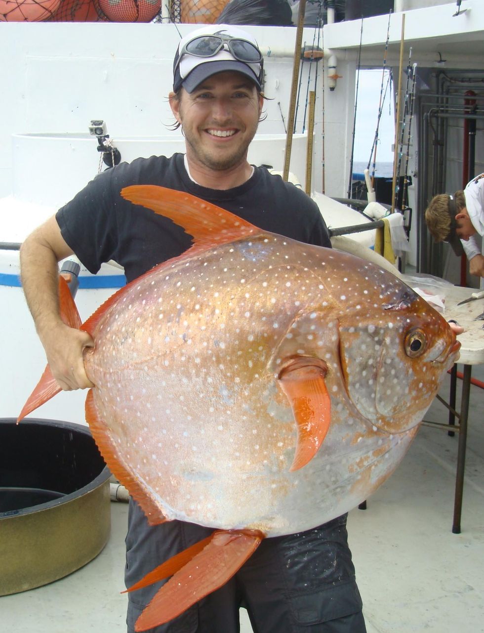 Tire-Size Moonfish Surprises Scientists With an Ability Never Seen Before in Fish