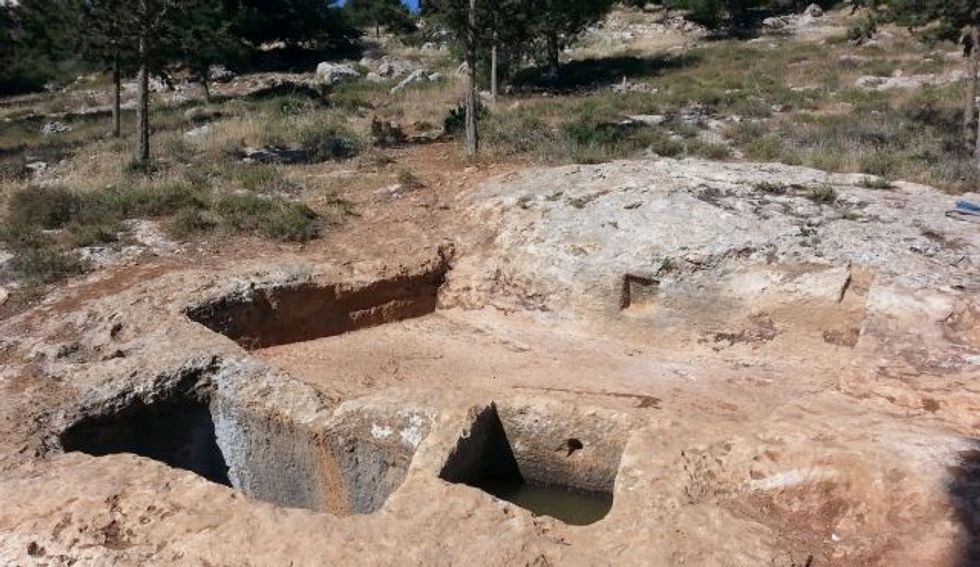 Israeli Archaeologists Found a Perfectly Dug Ancient Wine Press, but Had No Idea Who Did It. They Were in for Quite the Surprise When They Met the Amateur Diggers.