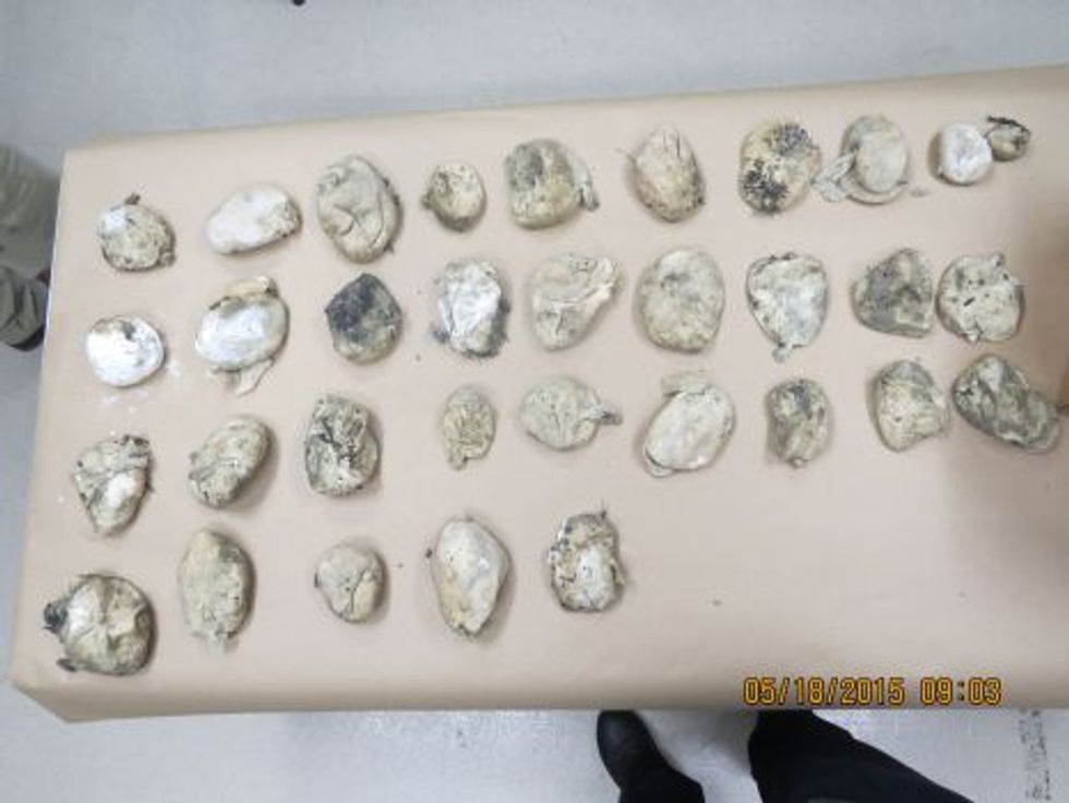 Texas Beachgoer Stumbles Upon Illegal Find Worth Thousands
