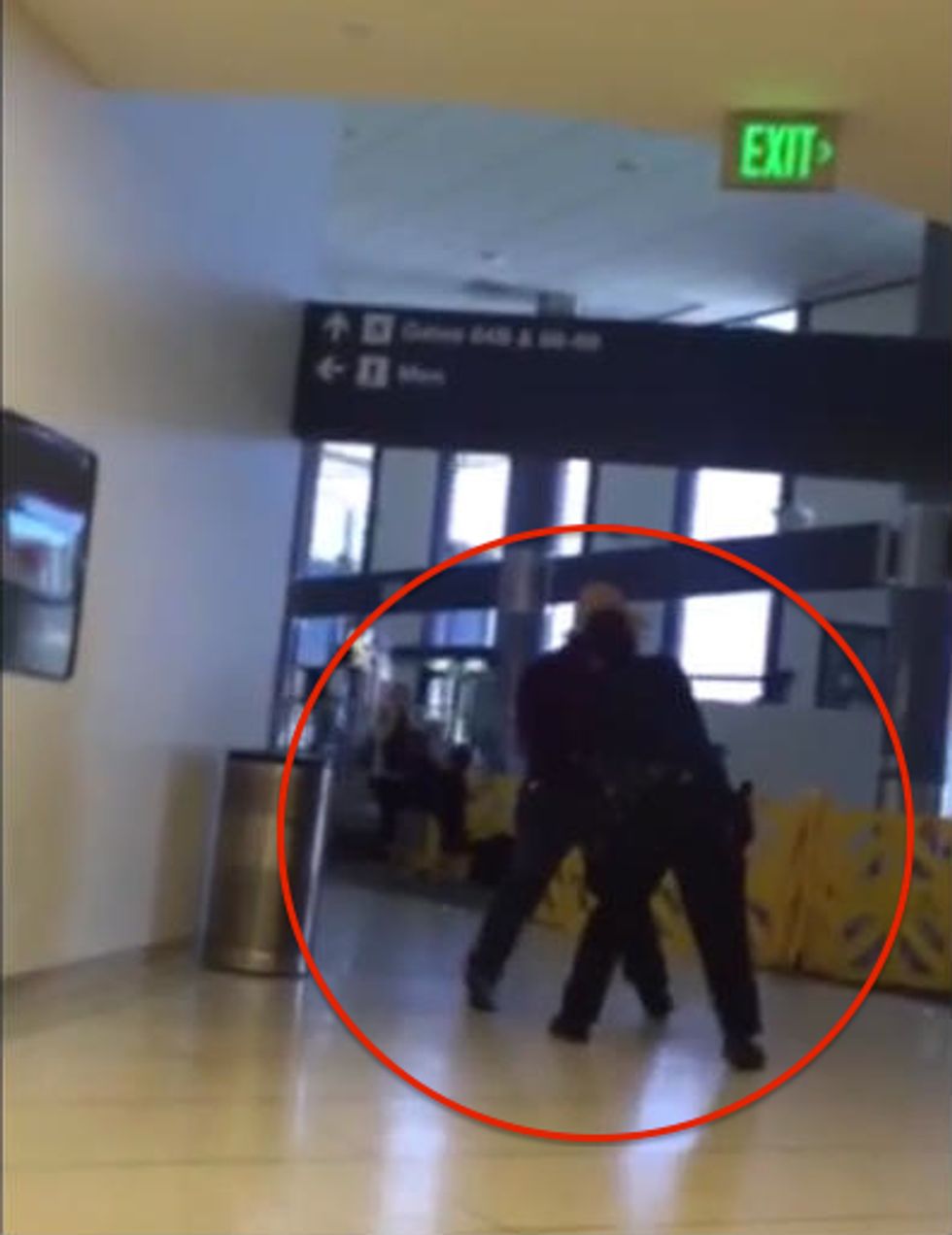 Austin Powers' Actor Records Police Using Taser on Man at LAX