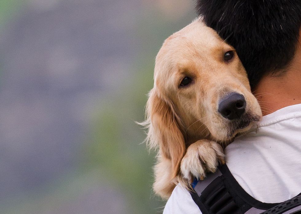 Man and Man’s Best Friend Might Go Way, Way Back — Further Than Previously Thought