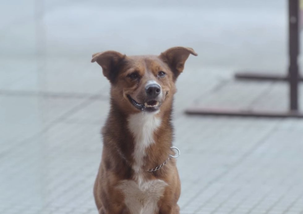 Is this organ donor ad sweet or creepy?