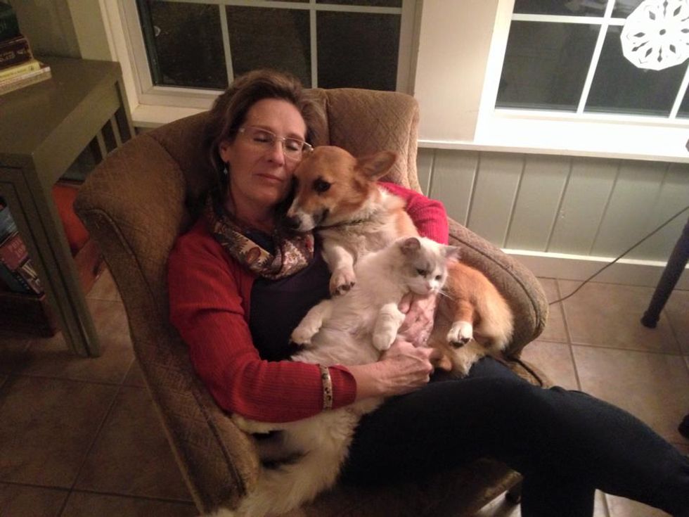 Pastor's Wife Gets Ripped Apart Online for What She Posted on the 'Atheist of the Year's' Facebook Page About Josh Duggar