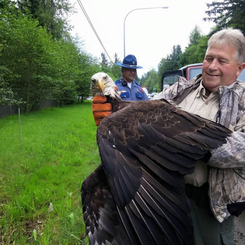Family Stops to Help Injured Bald Eagle on Memorial Day Weekend Fishing Trip