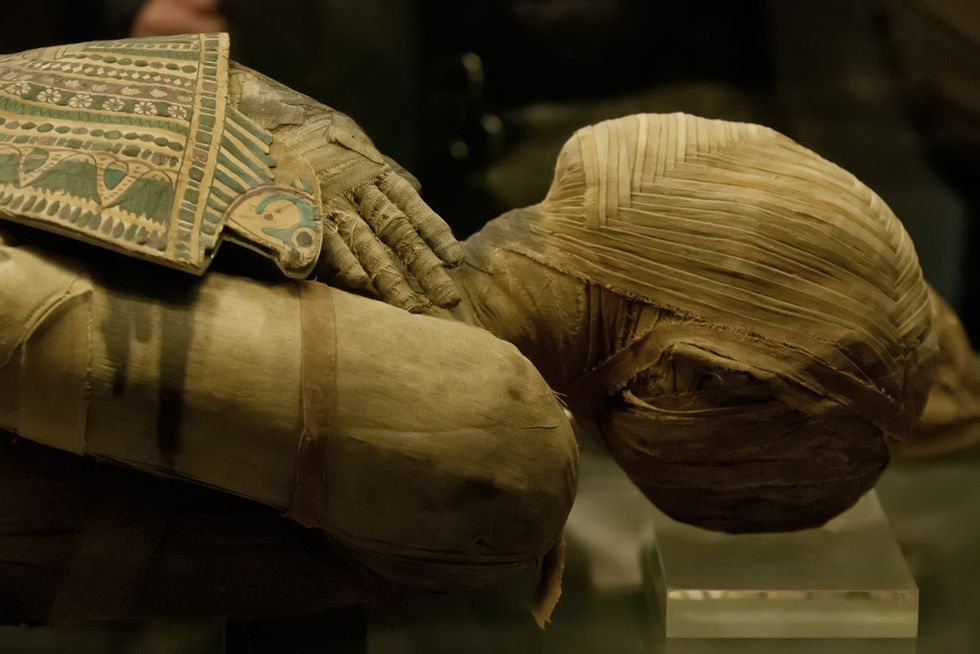 Scientists Try Their Hand at Ancient Egyptian Mummification Techniques
