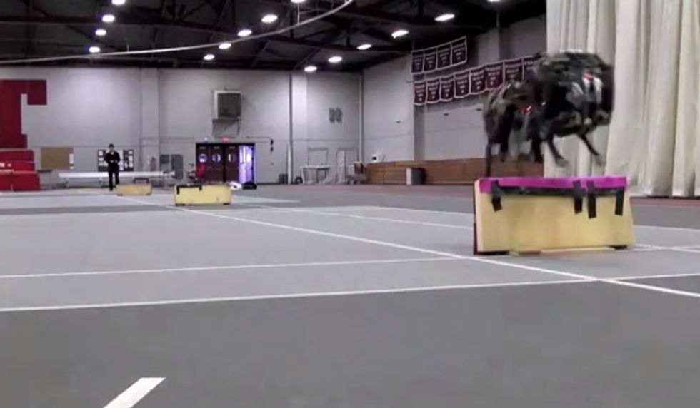 Look at What This High-Tech Robotic Cheetah Can Do Now