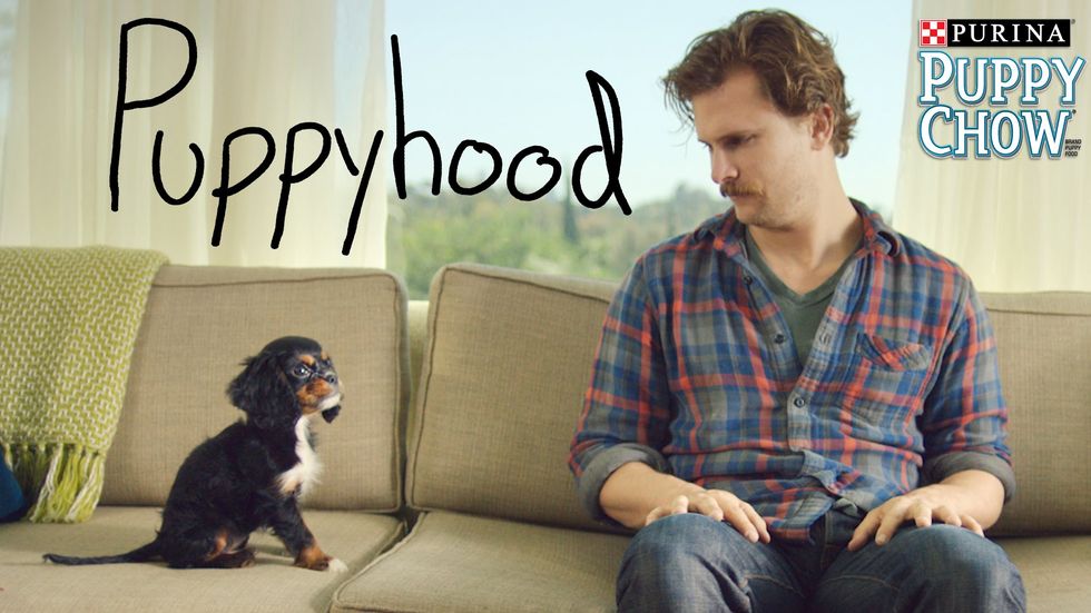 There's a reason why this Purina 'Puppyhood' ad is taking the Internet by storm 