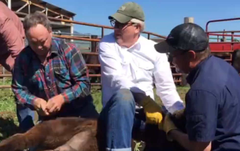 You Can't Unsee This Castration Video That Glenn Beck Posted