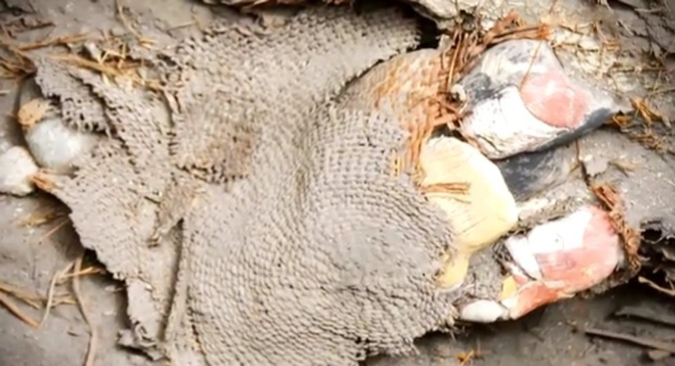3,800-Year-Old Artifacts Discovered in Ancient Peruvian City