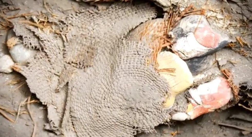 3,800-Year-Old Artifacts Discovered in Ancient Peruvian City