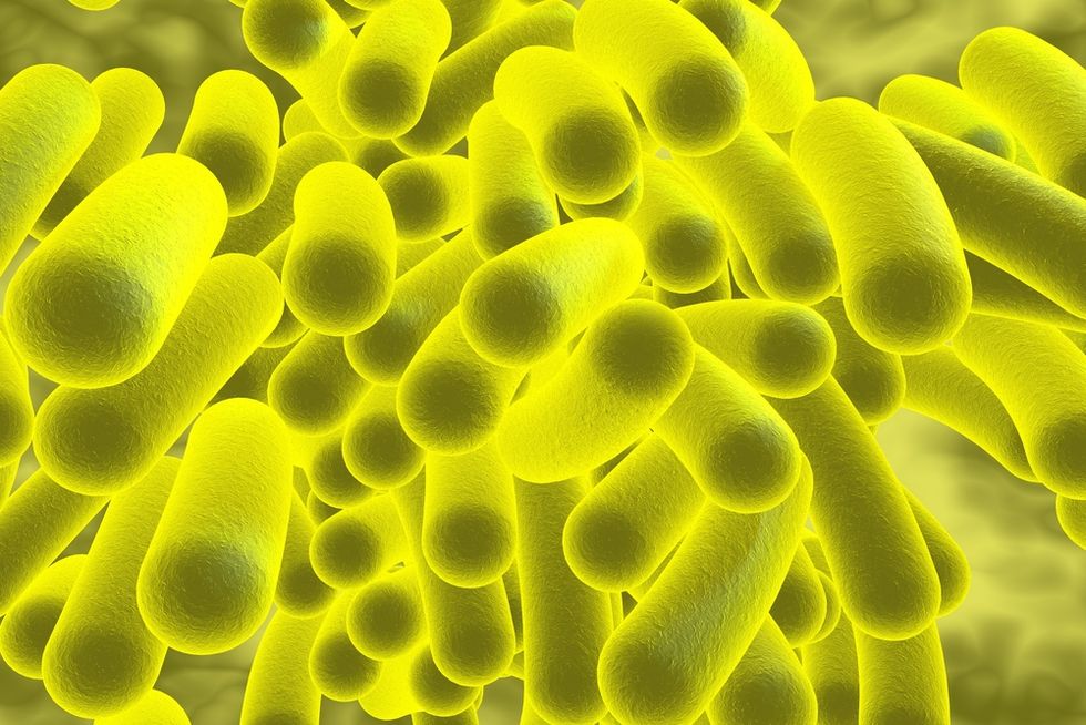 Scientists Have Finally Found a Way to Battle a Deadly 'Superbug