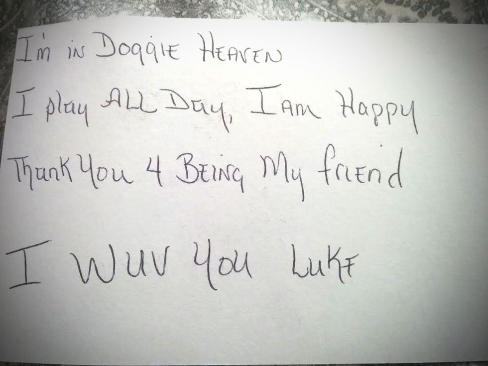 Little Boy Writes to 'Doggie Heaven' and Gets an Absolutely Tear-Jerking Response