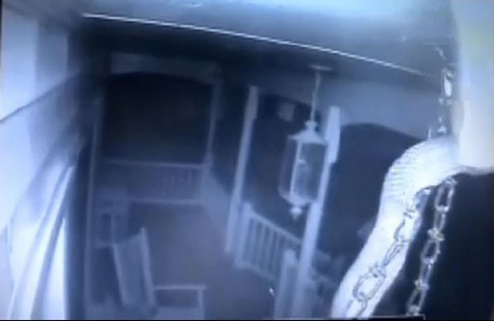 Homeowner's Security Camera Catches a Slithering Surprise