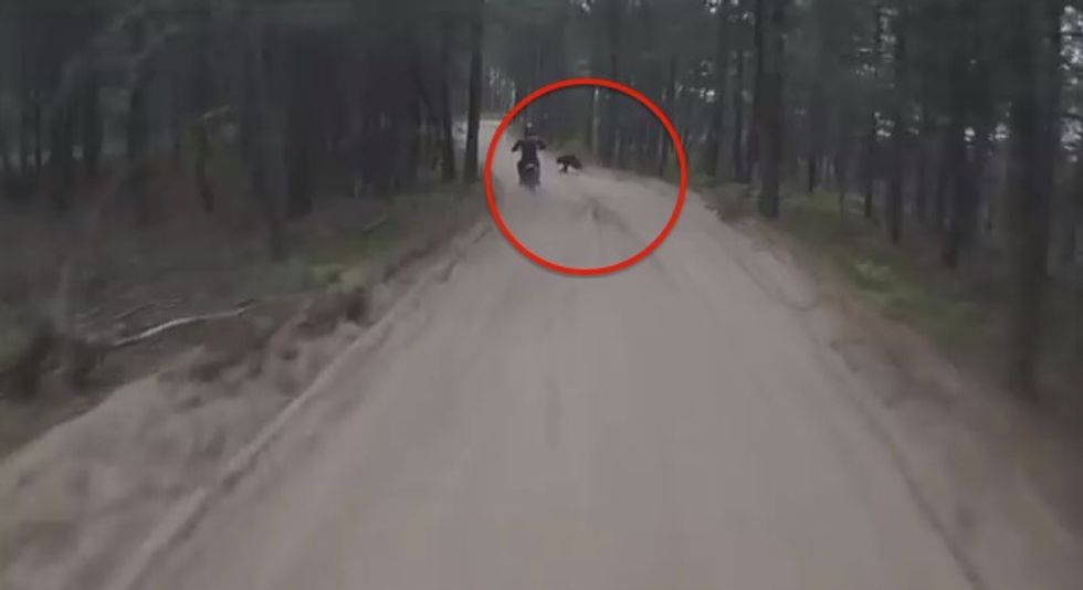 45 Seconds Into This Video, Nature Throws Two Dirt Bikers Way Off Course