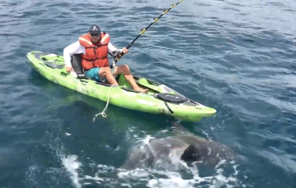 A Fisherman Sitting in a Kayak Hooks a 7-Foot Shark — and Soon Learns a Bigger Boat Could Have Been Useful