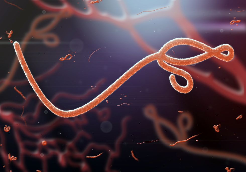Experts Warn Ebola Outbreak Is 'Not Finished, by a Long Shot' — Here's What Has Them Worried