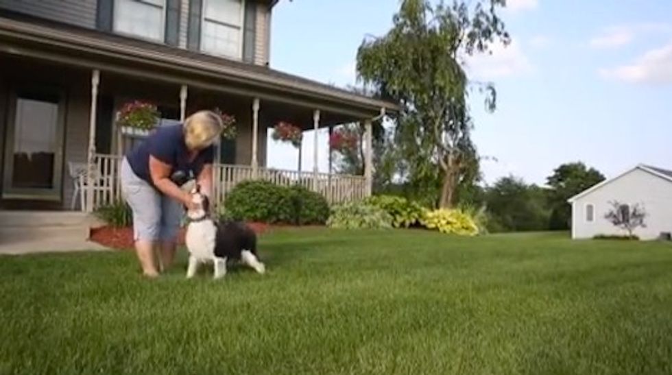 ‘Seriously?’ Michigan Woman Can’t Believe What the Law Forced Cops to Do to Her Over a $10 Dog License