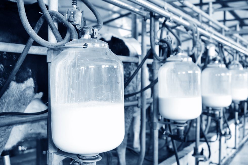 The Drastic Measure Some Farmers Are Taking Because of Record Milk Surplus in the U.S.