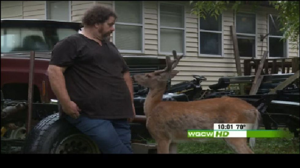 Man Pays Fine for Keeping Deer as Indoor Pets for Two Years, but Still Insists He Did Nothing Wrong