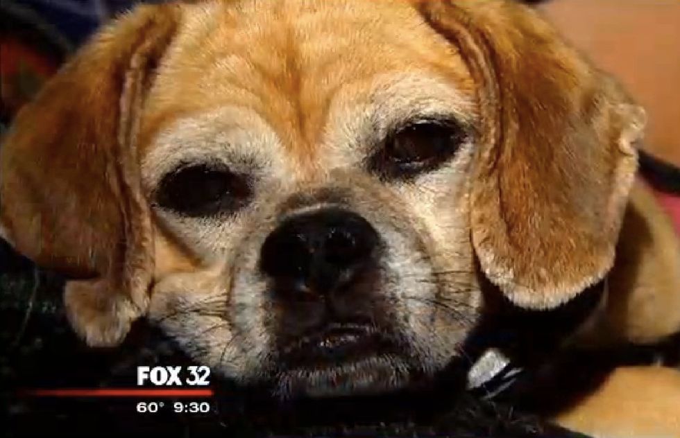 A Disabled Iraq War Vet Says He’s Being Kicked Out of His Apartment Because of His Service Dog