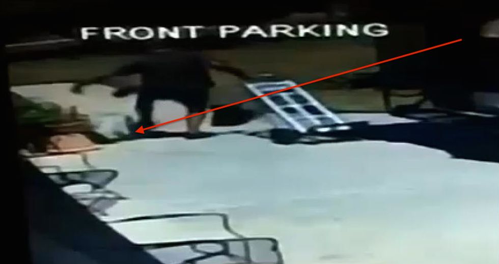 Shock Footage Shows UPS Driver Kicking Small Dog Moments Before He 'Clobbered' the Animal's Owner