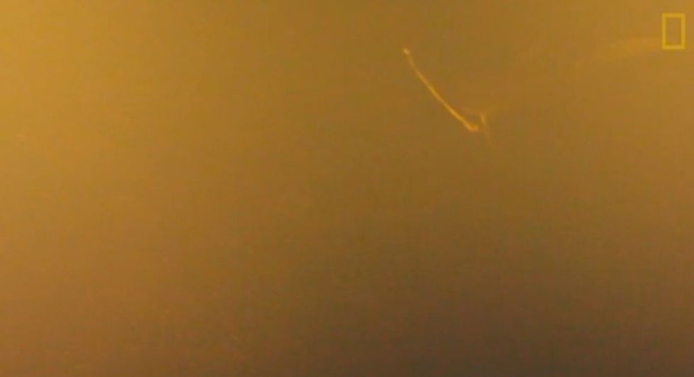Scientists Thought Nothing Could Live Near This Active, Underwater Volcano — Then They Caught Something Cool on Video