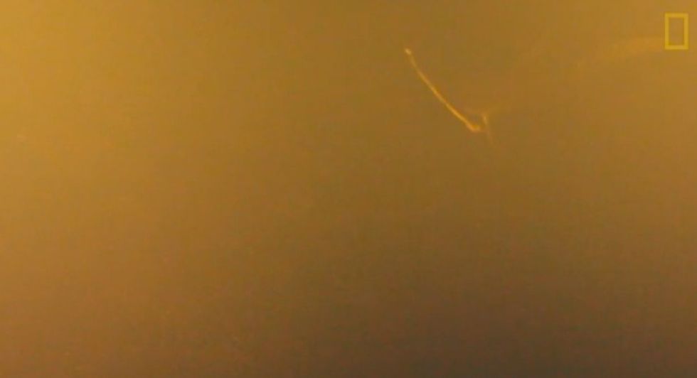 Scientists Thought Nothing Could Live Near This Active, Underwater Volcano — Then They Caught Something Cool on Video