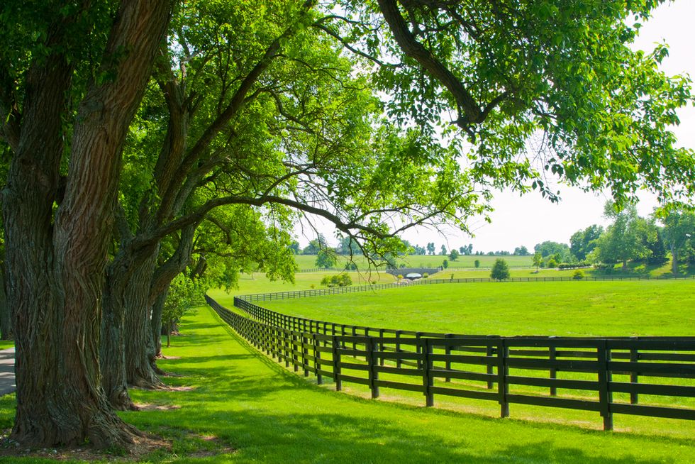 Virginia Couple Giving Away Their 35-Acre, $600,000 Farm in Essay Contest