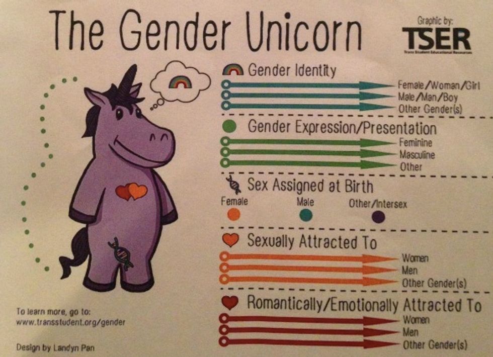 College's Faculty Coached to Confront Colleagues Who Fail to Use 'Correct Words in Conversation' — and a Purple 'Gender Unicorn' Even Lends a Hand