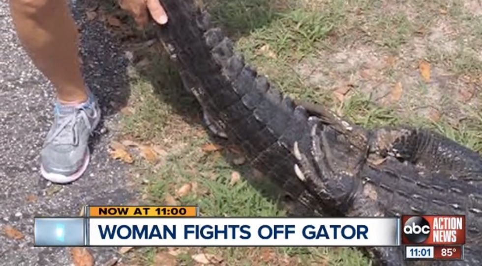 I Saw Teeth and Hair and Gator': Woman Wrestles 7-Foot Alligator to Save Her Dog
