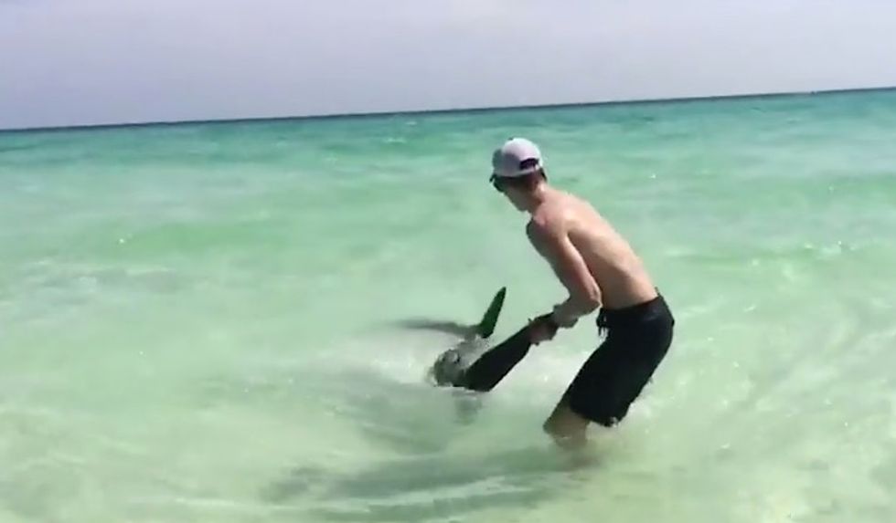 Instead of Running Away, Beachgoer Made Observation About Shark That Had Him Grabbing It By Its Tail