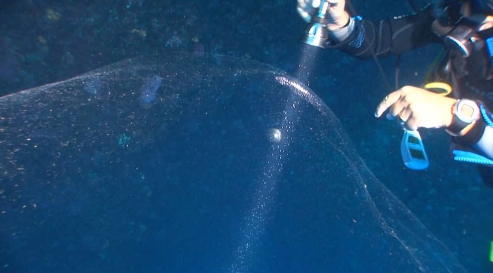 Divers Film Strange Blob Dubbed 'The Thing' in Mediterranean. Scientists Say It's Actually a Pretty Rare Find.