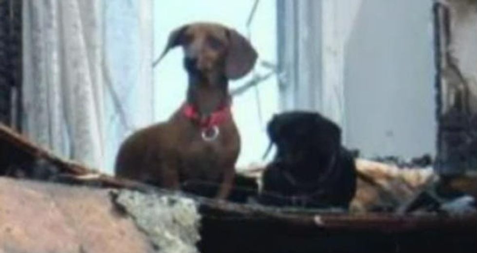 After Losing Their House to a Massive Fire, They Thought They'd Lost Everything — They Were Wrong