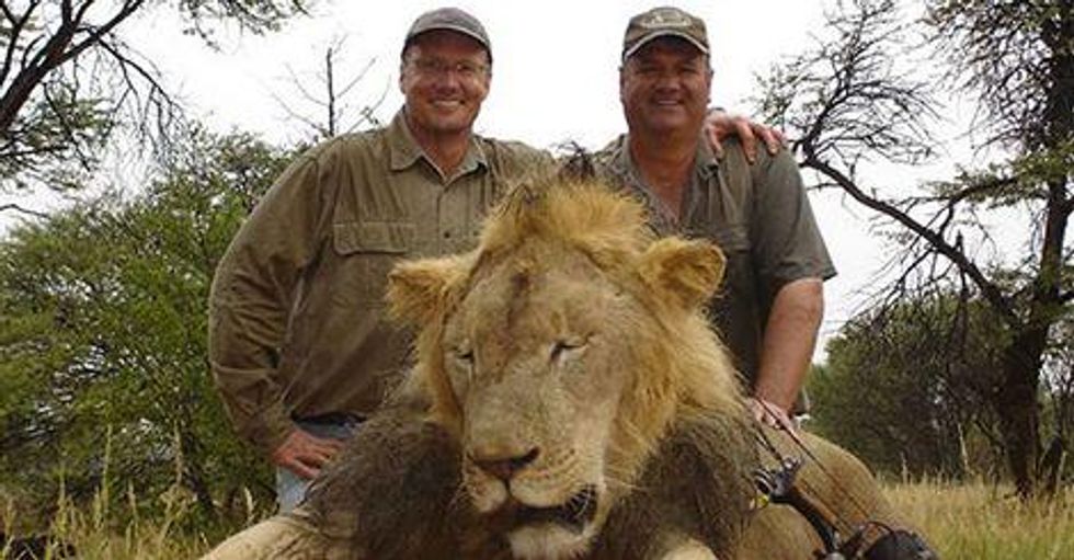PETA Says Minnesota Dentist Accused of Hunting Protected African Lion Should Be 'Preferably Hanged