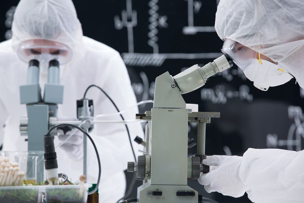What You Need to Know About How Fetal Tissue Is Used in Medical Research