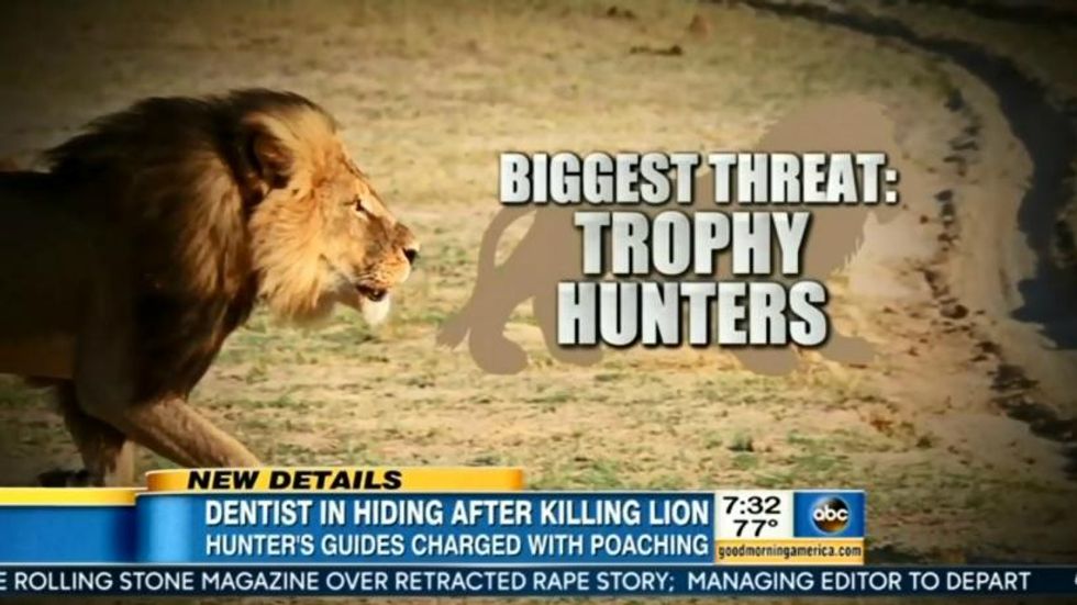 Here's How Much the Three Major Networks Have Covered Cecil the Lion Versus Planned Parenthood Vids