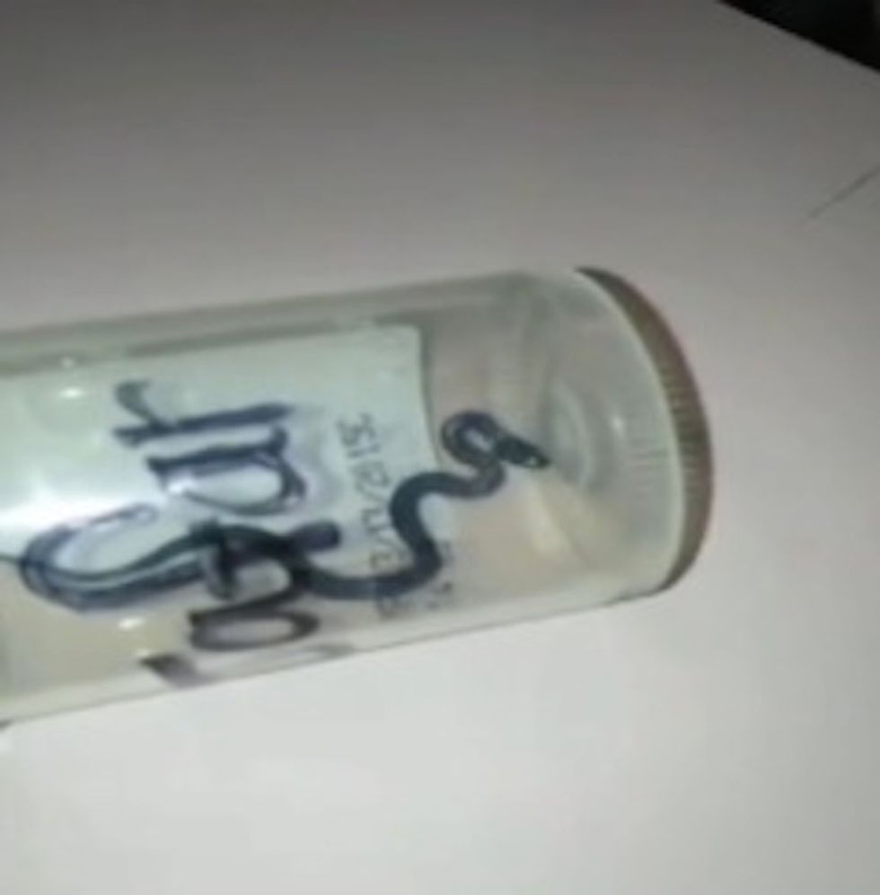 Dang, That's a Real Snake' and Where It Was Found Will Likely Make You Cringe