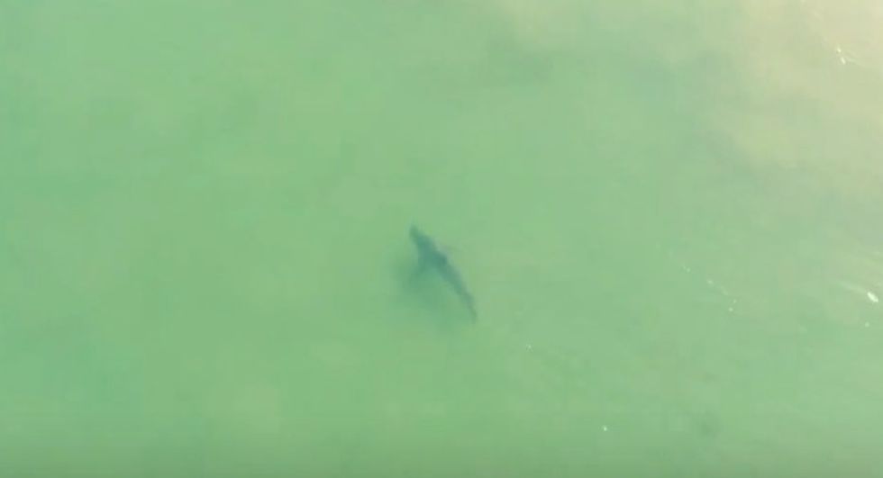 A Drone was Supposed to be Recording Surfers, Instead it Captured Something a Bit Worrisome