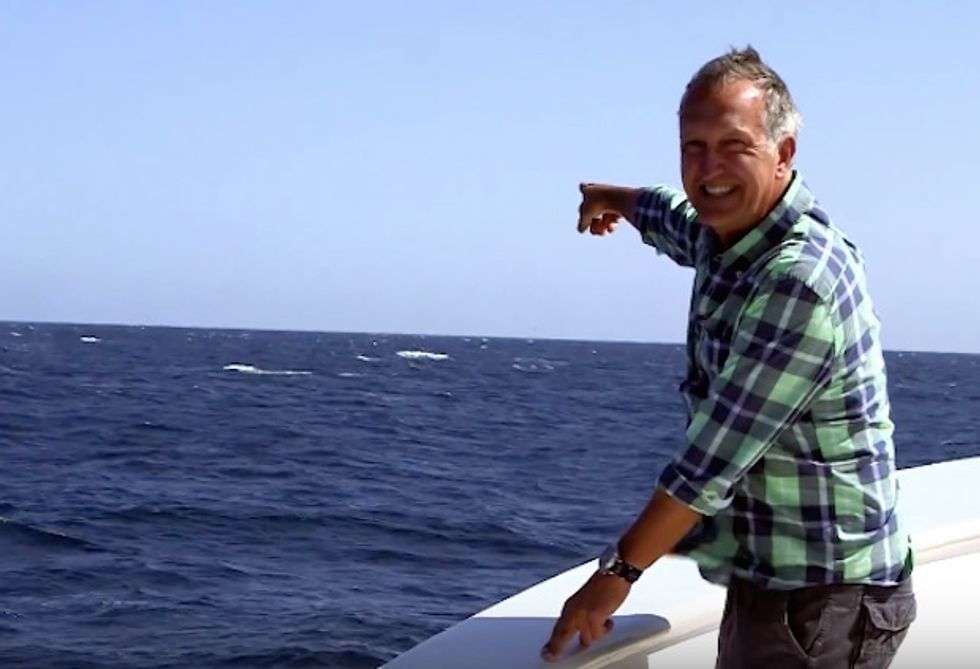 Perfect Timing! Just as Zoologist Tells TV Camera How Difficult It Is to Spot a Blue Whale, One Shows Up